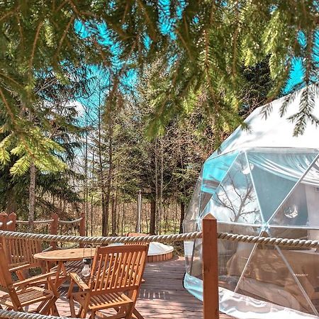 Hotel Medve Dome - Luxury Camping In The Middle Of Nature Vlahita Zewnętrze zdjęcie