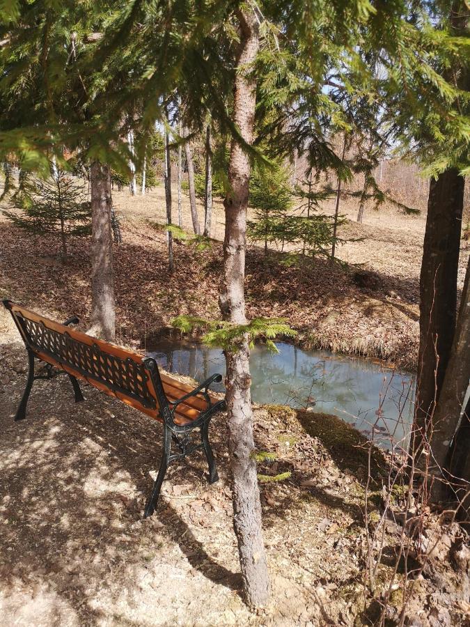 Hotel Medve Dome - Luxury Camping In The Middle Of Nature Vlahita Zewnętrze zdjęcie