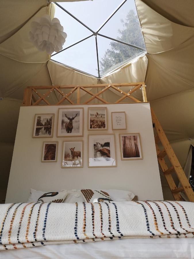 Hotel Medve Dome - Luxury Camping In The Middle Of Nature Vlahita Zewnętrze zdjęcie
