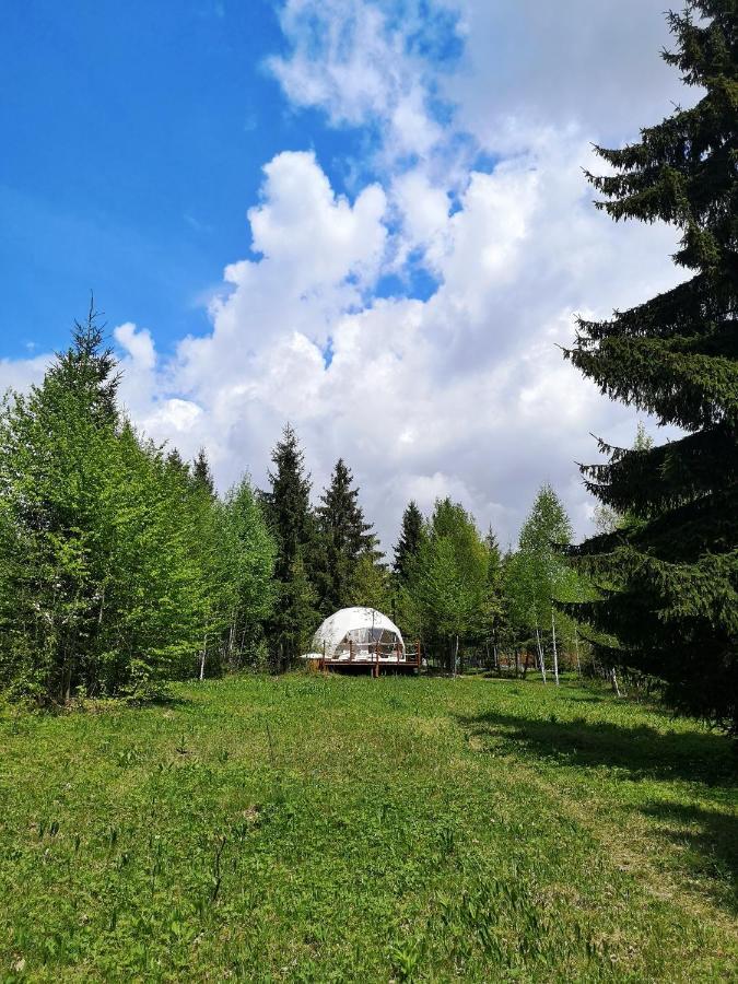 Hotel Medve Dome - Luxury Camping In The Middle Of Nature Vlahita Zewnętrze zdjęcie