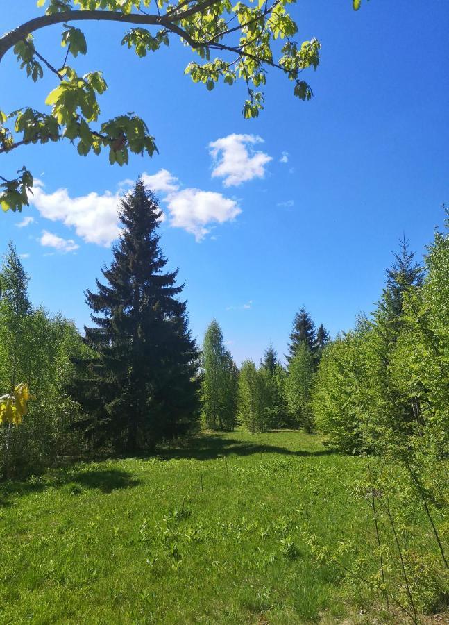 Hotel Medve Dome - Luxury Camping In The Middle Of Nature Vlahita Zewnętrze zdjęcie