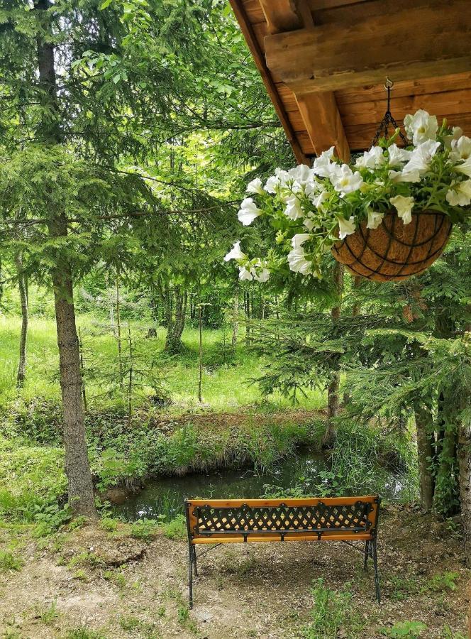 Hotel Medve Dome - Luxury Camping In The Middle Of Nature Vlahita Zewnętrze zdjęcie