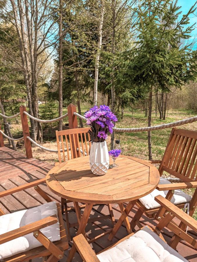 Hotel Medve Dome - Luxury Camping In The Middle Of Nature Vlahita Zewnętrze zdjęcie